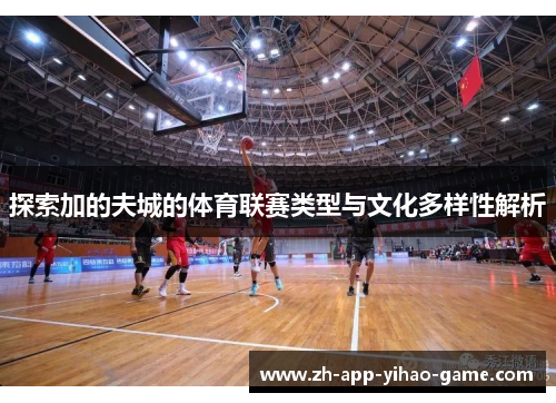 探索加的夫城的体育联赛类型与文化多样性解析