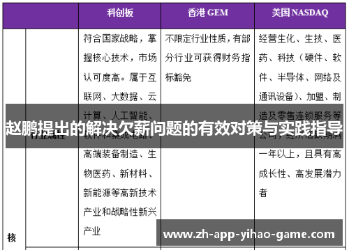 赵鹏提出的解决欠薪问题的有效对策与实践指导