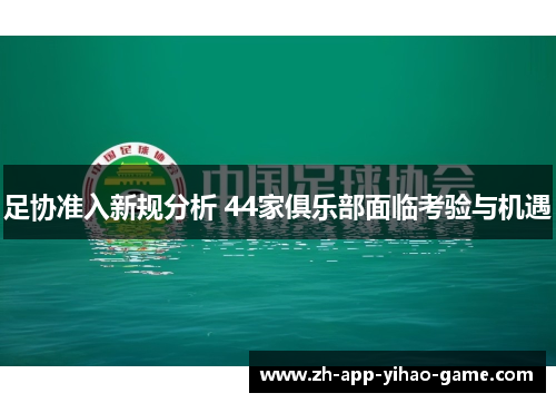 足协准入新规分析 44家俱乐部面临考验与机遇